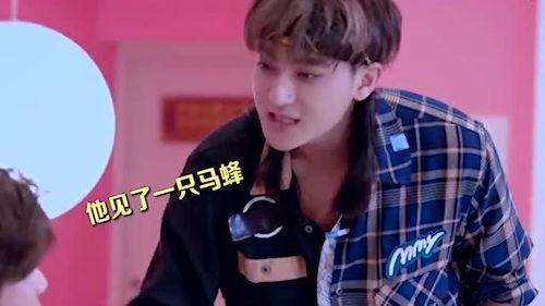 黄子韬娱乐吃瓜,揭秘娱乐圈背后的“吃瓜”真相